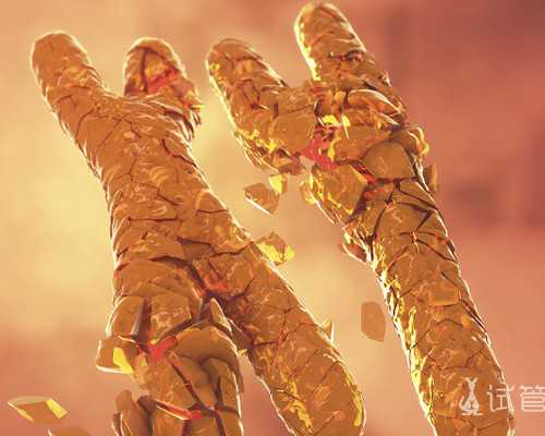 北京哪里有供卵,北京试管成功率高的医院有哪些？附北京试管医院排名