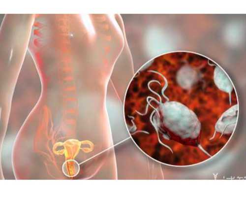 北京怎样代怀,北京三代试管费用大概多少？北京协和做试管成功率高吗？