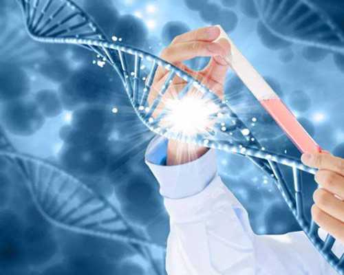 北京找代生公司,北京试管婴儿多少钱 北京找代生公司,北京试管婴儿多少钱